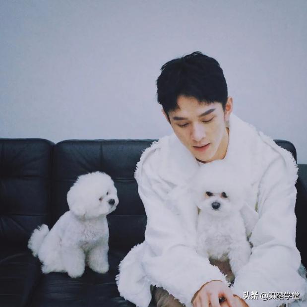 付鹏退出李佳琦直播间，离开了小助理，李佳琦