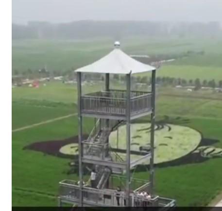 袁隆平|农民种出袁隆平钟南山稻田画 平均每幅画约3000个点用5种颜色的水稻组成