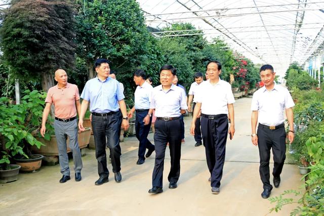 县长彭伟率领淮安考查团抚玩花木城