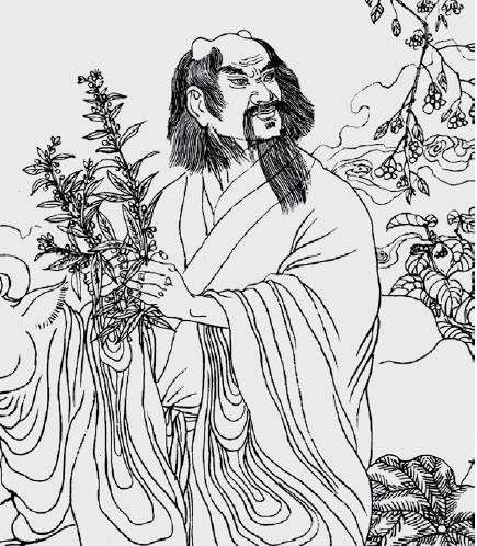 脂是什么意思(脂是什么肖)