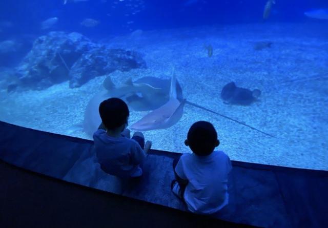 林志颖全家游水族馆，Kimi身高和爸爸只差一个头，一家五口超幸福