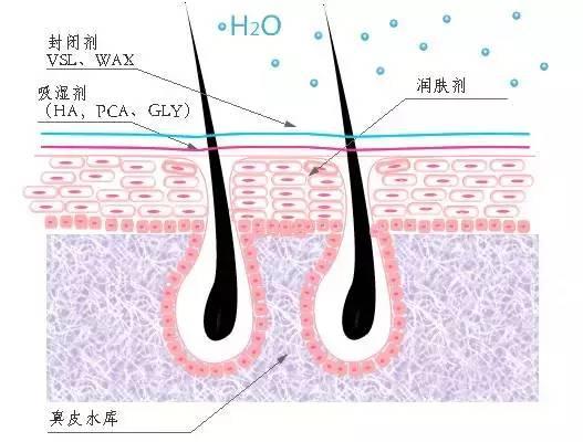 震惊！皮肤科门诊爆号了：空调下皮肤伤不起，水和油都离家出走了