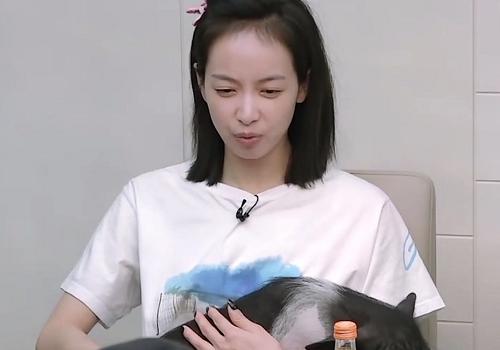 下期《我家那閨女2》迎來新嘉賓，宋茜卻退出，理由讓人無法反駁