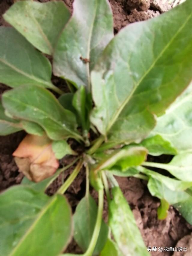 西游记中唐僧取经最后取到了什么经 友邦知识网