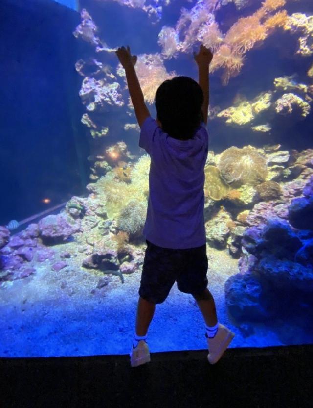 林志颖全家游水族馆，Kimi身高和爸爸只差一个头，一家五口超幸福