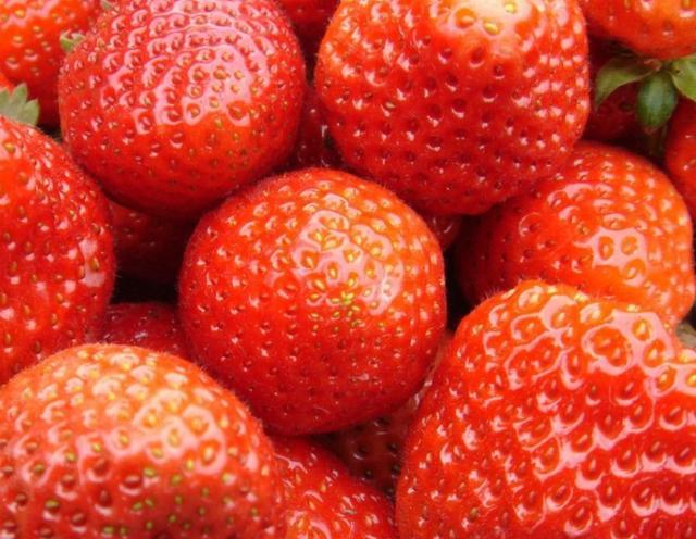草莓为什么不是水果？