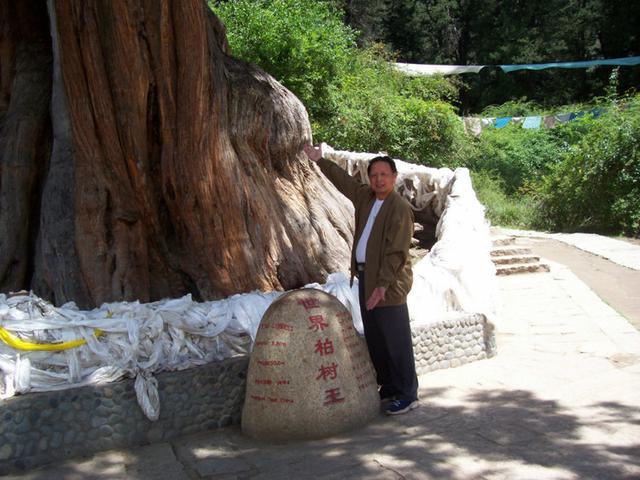 华夏大地留给后人的除了文物及远古遗迹，华夏千年古树是最好见证