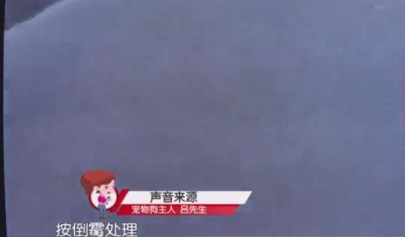 女子被狗咬伤，因医药费与狗主人争执又被咬，狗主人：按倒霉处理