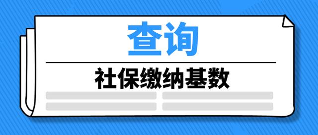 上海个人社保缴费查询(上海社保官网)