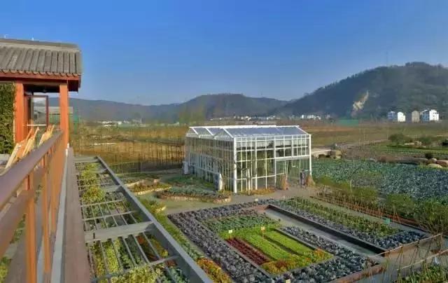 特色小镇现代农业的经典案例蓝城农庄小镇