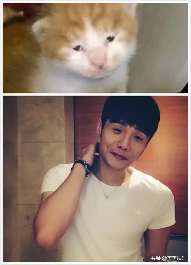 在线自夸？学员撞脸导师霸占热搜，他们竟这么