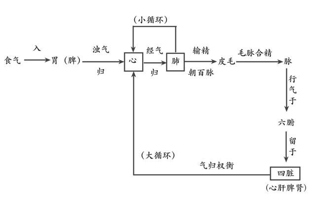 血：人体的血从哪里来？