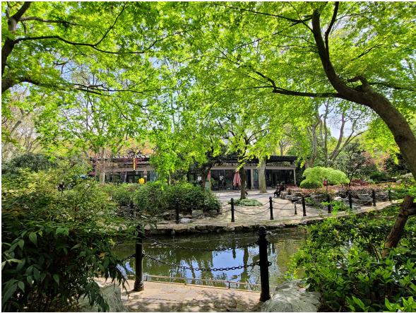 强悍性能无短板,三星Galaxy S20 Ultra全面表现领跑安卓旗舰