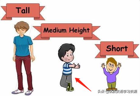 他不高也不矮用英语怎么说他不高不矮英语