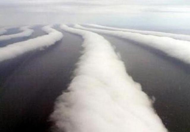 �ƶ������