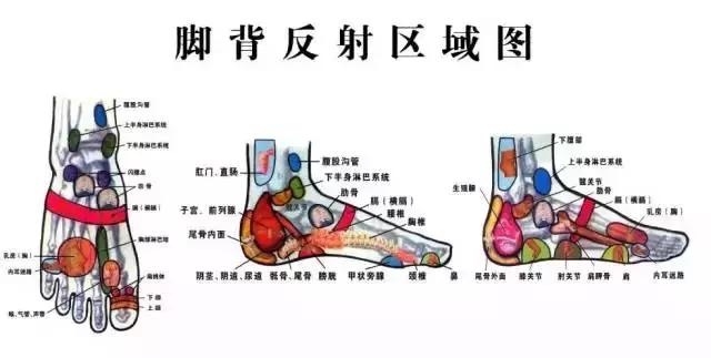 寒从脚下起，病从脚底除