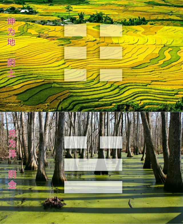 居高临下的临是什么意思(身临其境的临是什么意思)