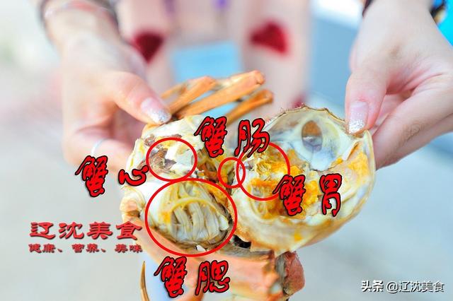 吃螃蟹要防寒，四个不能吃的部位，知道在哪里吗？