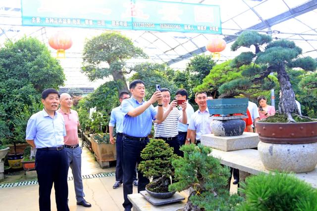 县长彭伟率领淮安考查团抚玩花木城