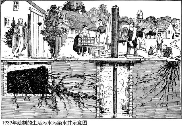 市民排泄的粪便哪里去了？