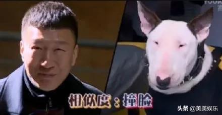 在线自夸？学员撞脸导师霸占热搜，他们竟这么