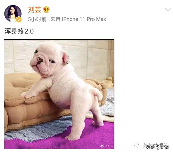 不努力就回去穿高定、演女一号、当少奶奶，这就是女团出道代价？