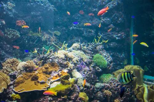 重庆|吴瑕：赤日炎炎步履不停，常见黑暗却心向光明