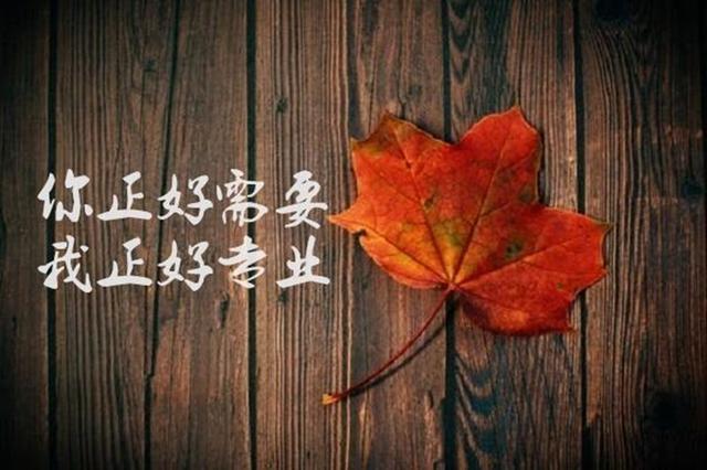 �����ģ�8.11�ƽ�������У�����ֻΪȷ�϶��������ռ�������