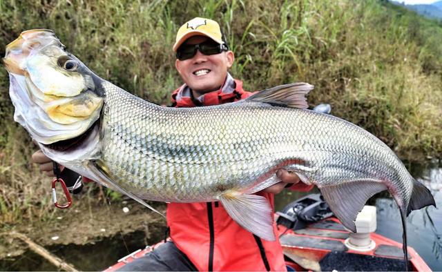 什么时候钓翘嘴好(翘嘴什么时候好钓)