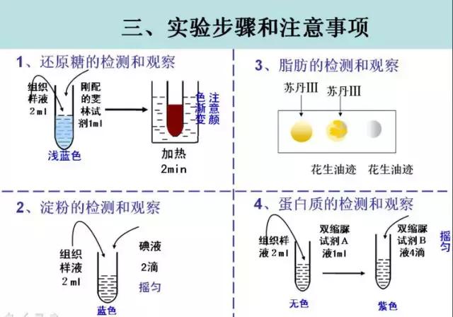 质壁分离过程图解图片