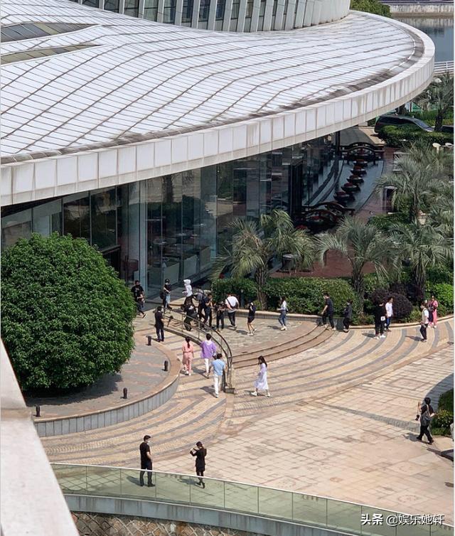 又一档综艺被曝开录，郑爽、谭松韵、张新成携