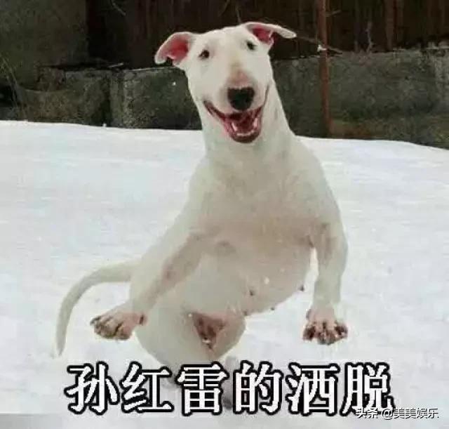 在线自夸？学员撞脸导师霸占热搜，他们竟这么