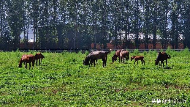 |北京休闲好去处｜春日农场葡萄园田间小课堂开课啦
