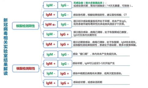 如果核酸检测不能百分百精准，谁来担纲神助攻？