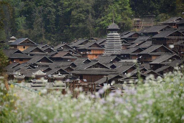 美国人口2020总人数 美国现在有多少人口2020