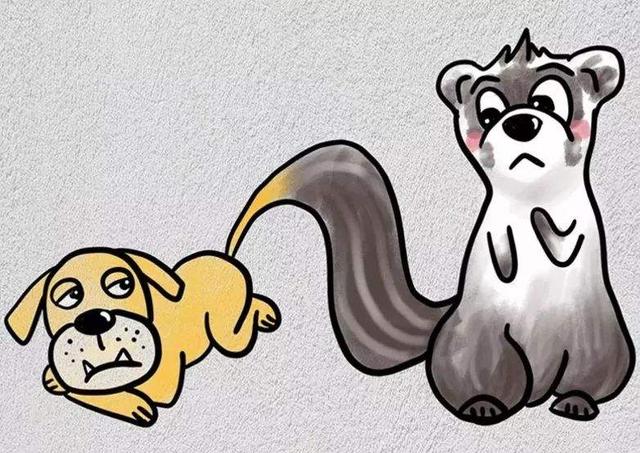 续貂什么意思(狗尾续貂的故事启示)