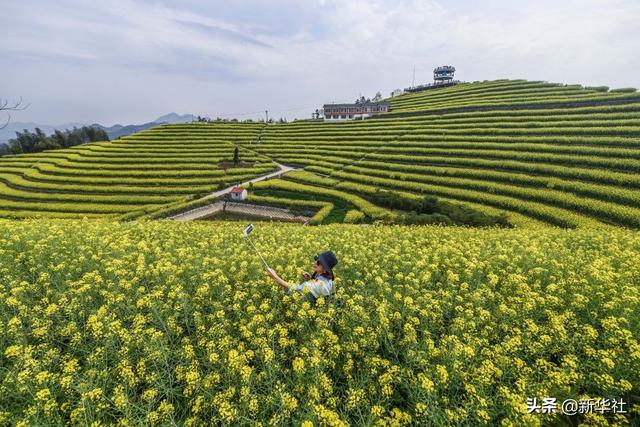生态文明之光照耀美丽中国——写在绿水青山就是金山银山理念提出15周年之际
