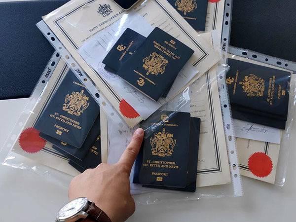护照补办费用(护照丢失补办费用2019)