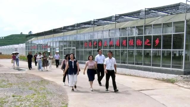 省调研组到丹寨县指导国家中医药健康旅游示范区创建工作