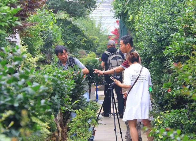 天下摄影家齐聚沭阳国际花木城