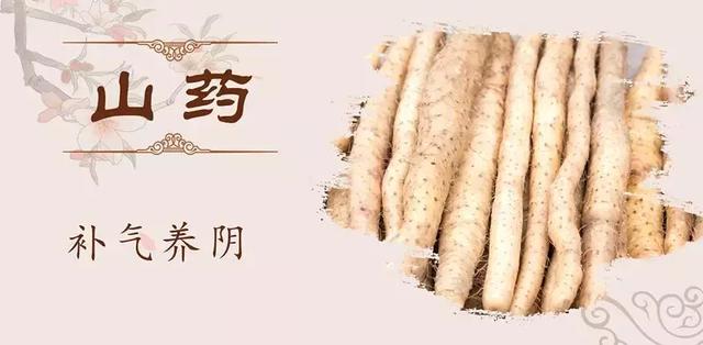 想长寿，先养气！这12个补气良方，材料好找，人人吃得起！