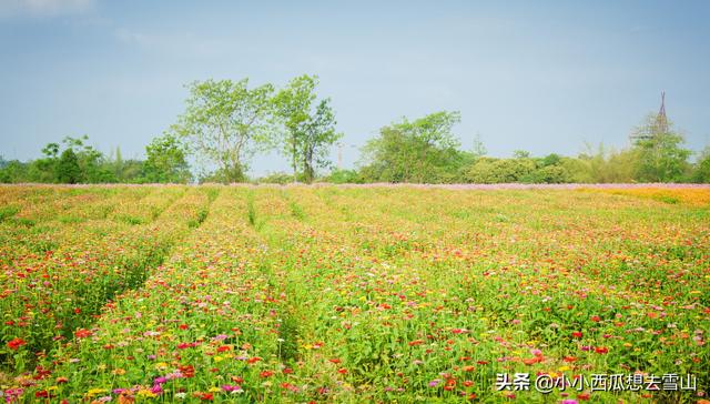 广西南宁最新的旅游攻略，包含了吃喝玩乐，花5分钟了解一下吗？