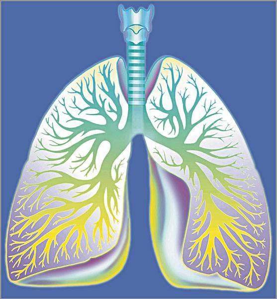 肺不好的人，手上会有3个“标记”，若你也如此，要好好保养肺了