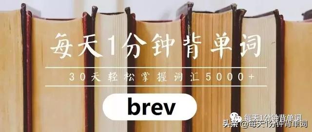 brief是什么意思brief怎么读音