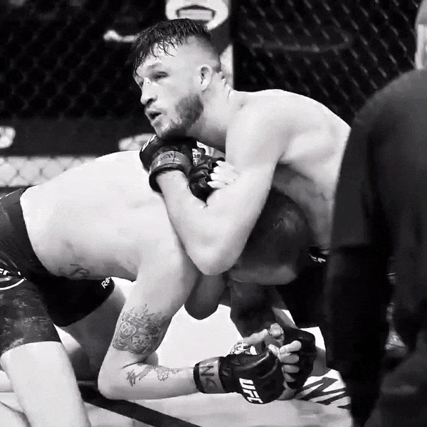 不灭钻石璀璨闪耀普瓦里尔击败霍克胜利重归八角笼