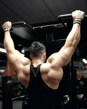 經典背部訓練，全面虐遍背部肌群，幫你打造強壯有力的背肌