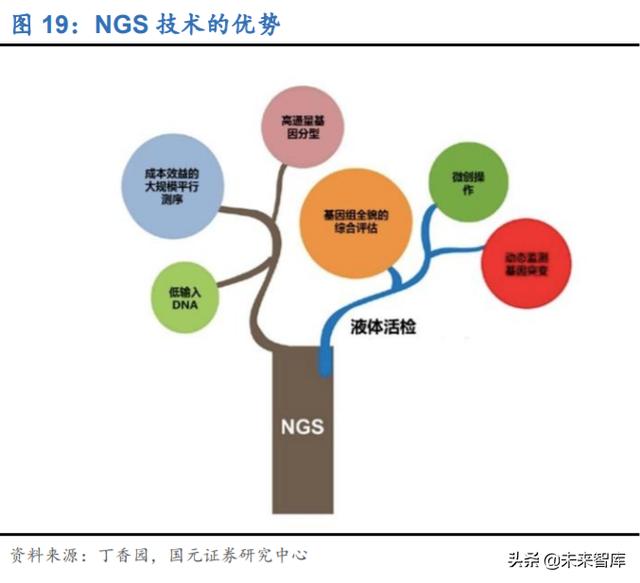 分子诊断行业深度研究及投资策略：精准医疗，看PCR还是NGS