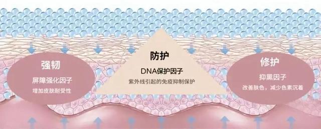 边洗澡边变白，一白遮三丑，提升高级感最直接的办法