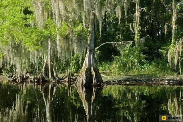 不被关注的美国扩张史，这5次扩张，让美国买到了大量领土！