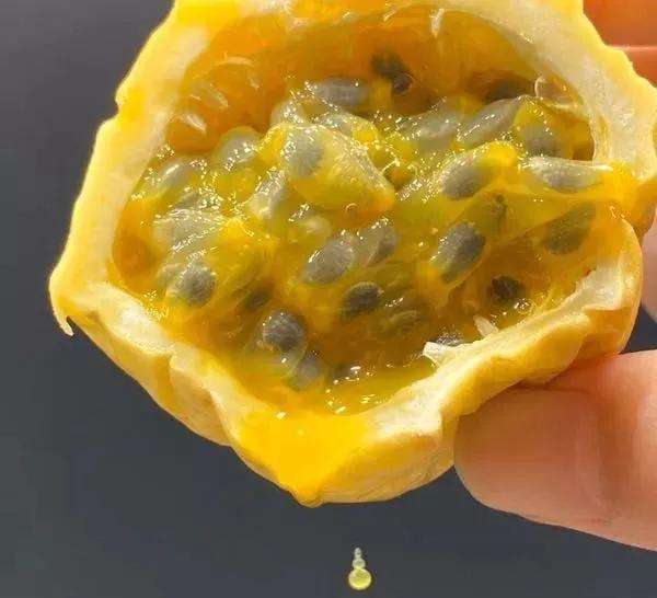 辰颐物语：黄金百香果竟然甜得像蜂蜜，美白还养颜